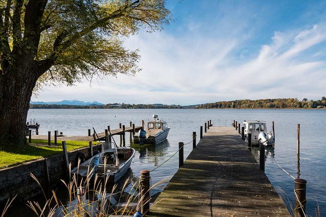 协作和教练 协作和教练