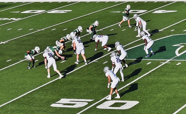 里南队的精 里南队的精