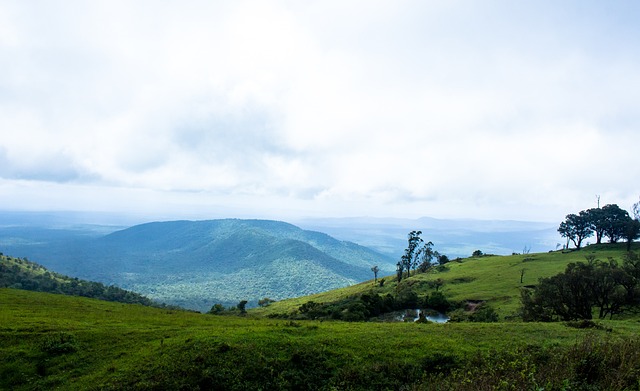 著冷靜與比